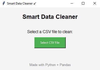 Data Cleaning Screenshot 1