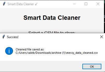 Data Cleaning Screenshot 2